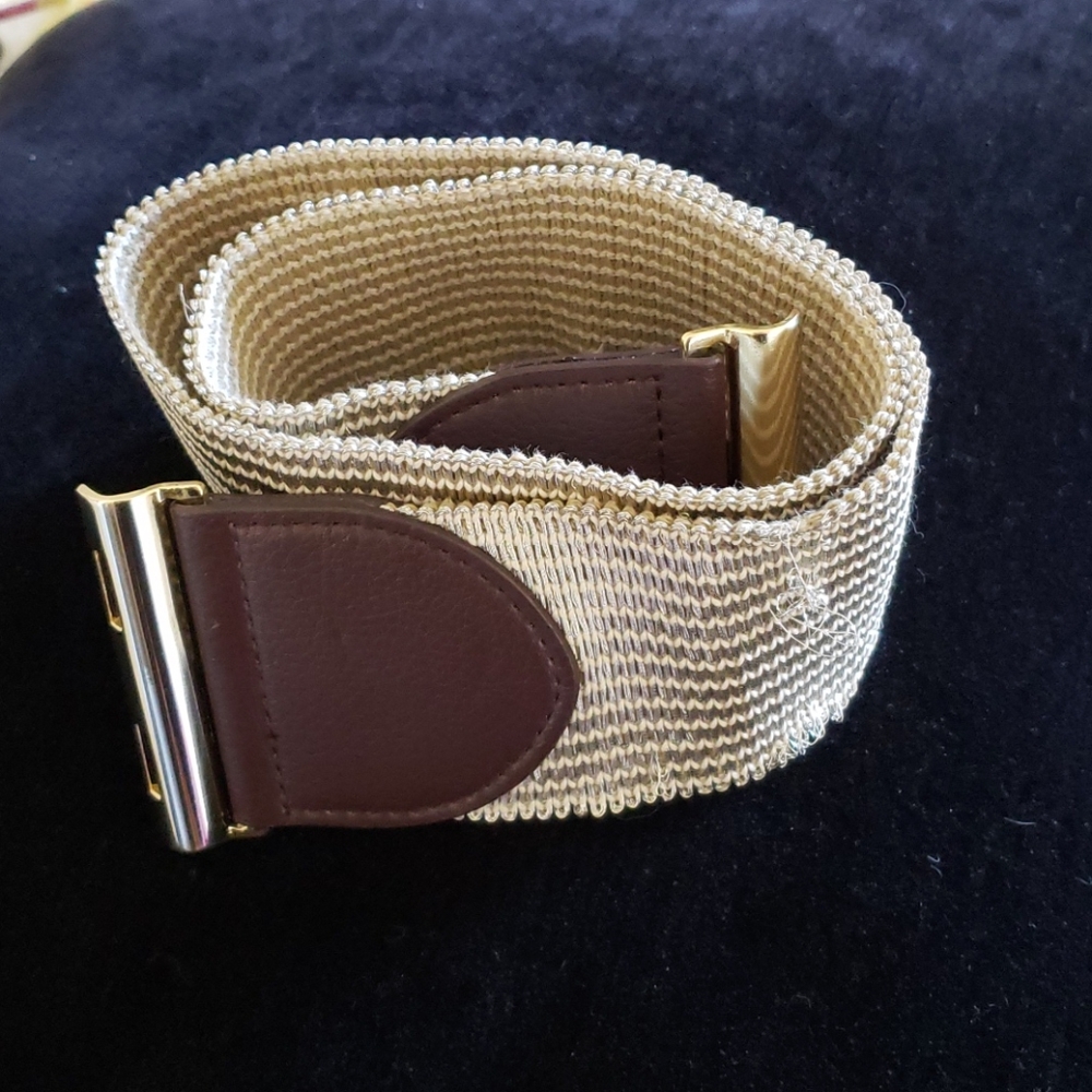 5/$25 Banana Republic Belt